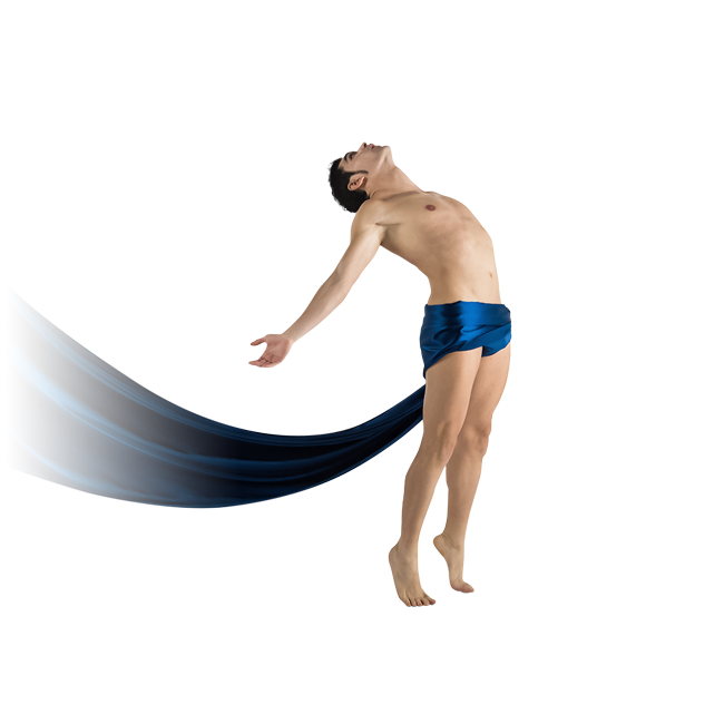 Linea Slip Erniari